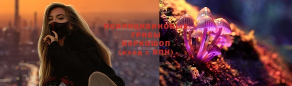 spice Бугульма